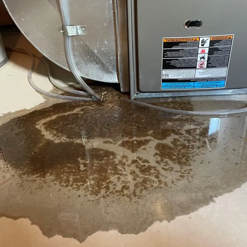 Pipe Burst and Leak Restoration in Leslie County, KY