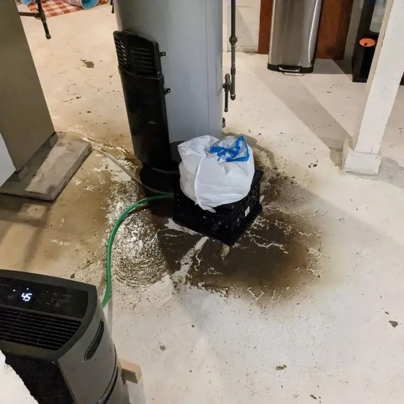 Sewage Backup Cleanup Service in Leslie County, KY